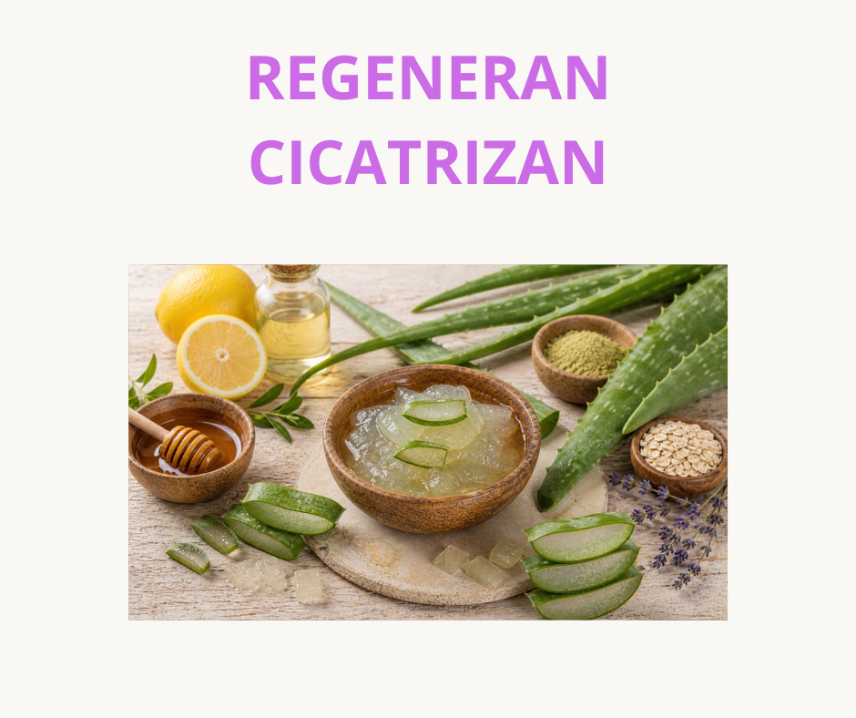 JABONES DE GLICERINA CON ALOE VERA