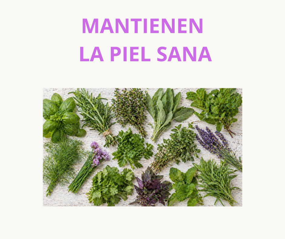 JABONES DE GLICERINA CON PLANTAS AROMÁTICAS