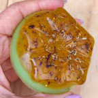 Jabón Natural de Glicerina con Aloe Vera y Caléndula para Piel Muy Sensible
