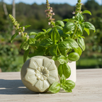 Jabón Natural de Glicerina con Albahaca para Piel Mixta