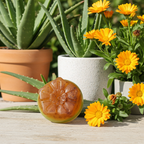 Jabón Natural de Glicerina con Aloe Vera y Caléndula para Piel Muy Sensible