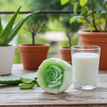Jabón Natural de Glicerina con Aloe Vera y Leche de Burra para Piel Madura