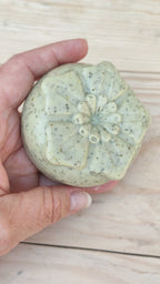 Jabón Natural de Glicerina con Albahaca para Piel Mixta